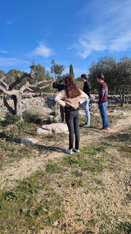 Can Barraca Avinyonet de Puigventós 外观 照片